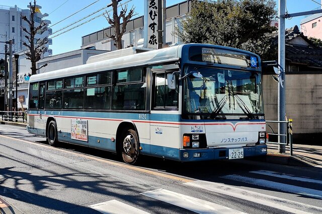 IMG_20230211_100723656_HDR~2-1.jpg